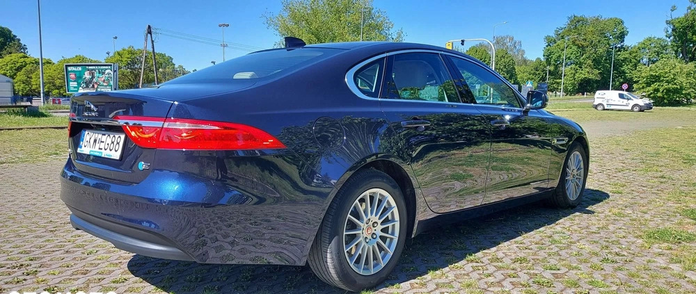 Jaguar XF cena 84900 przebieg: 198000, rok produkcji 2019 z Kwidzyn małe 106
